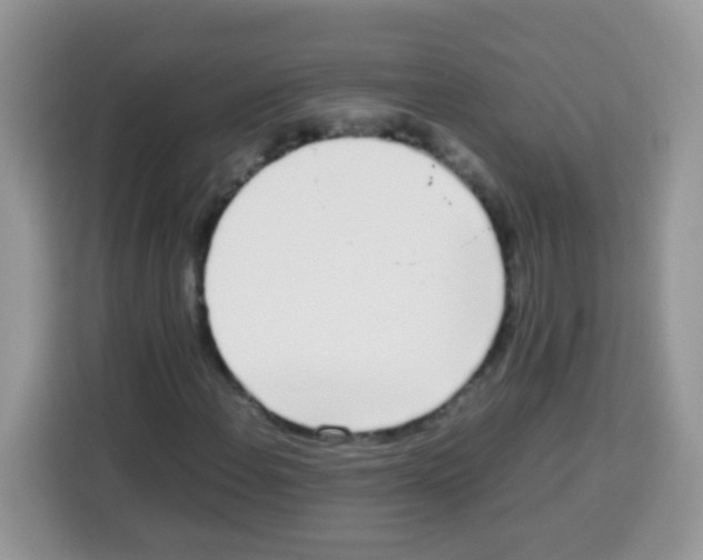 X0000113031108200910081214