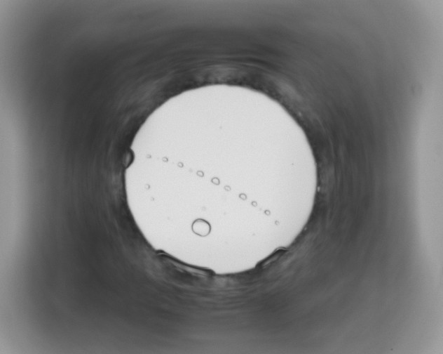 X0000113031109200910081214