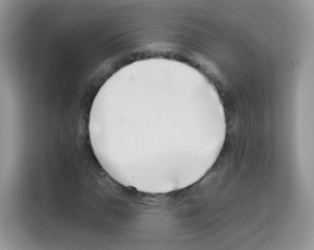 X0000113031110200910081214