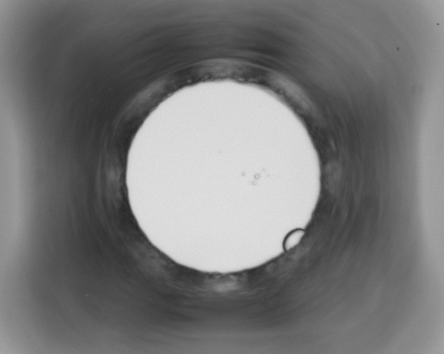 X0000113031111200910081214