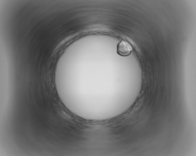 X0000113031112200910081214