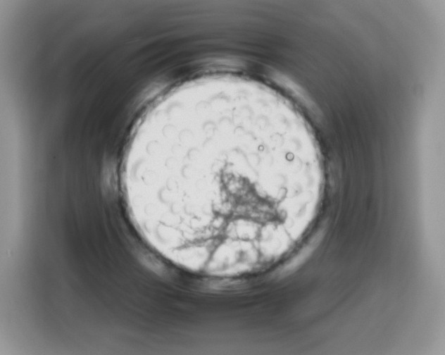 X0000113031113200910081214