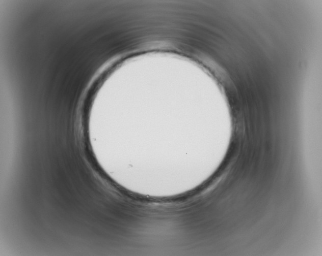 X0000113031118200910081214