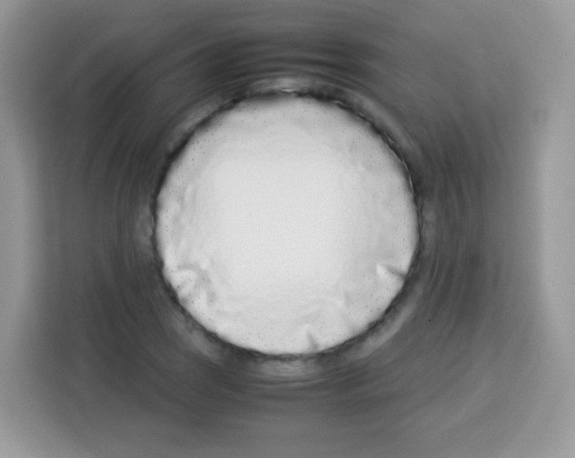 X0000113031121200910081214