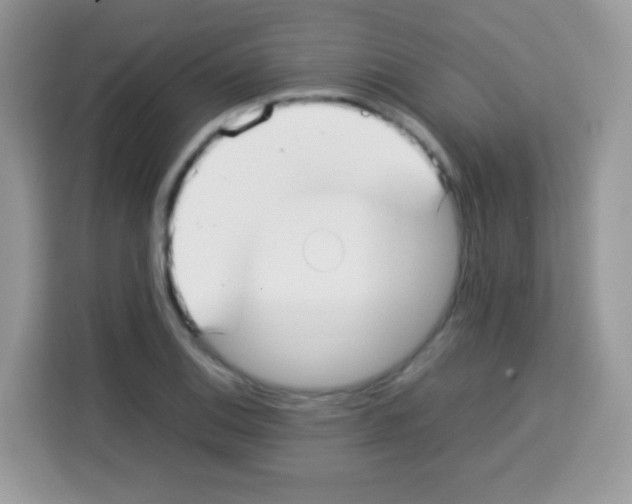 X0000113031124200910081214