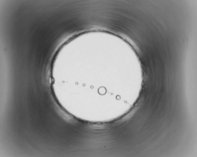 X0000113031126200910081214