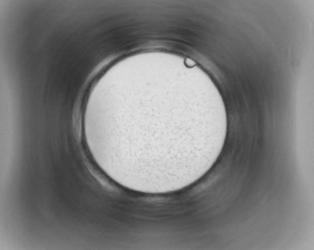 X0000113031127200910081214