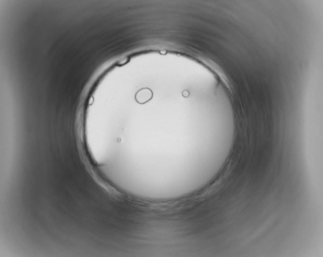 X0000113031128200910081214