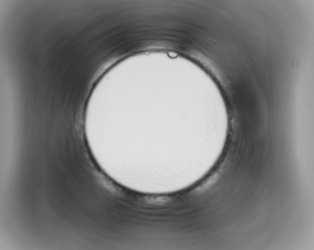 X0000113031129200910081214