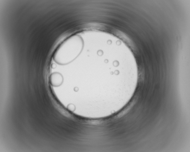 X0000113031130200910081214