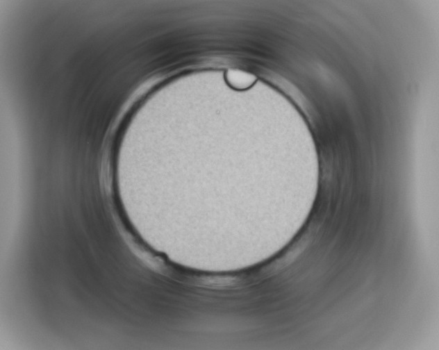 X0000113031131200910081215