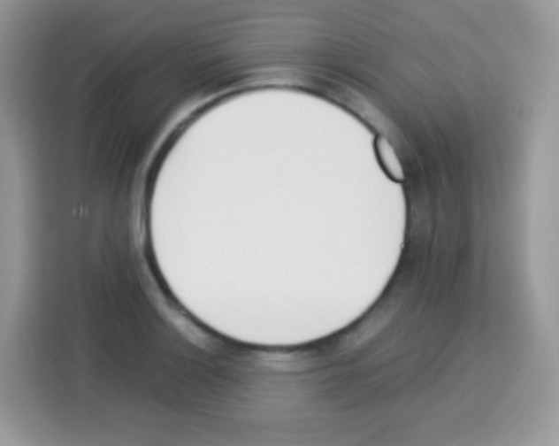 X0000113031132200910081215