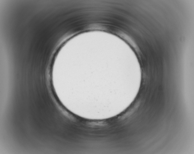 X0000113031133200910081215