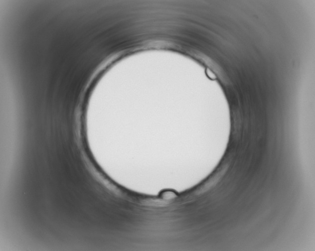 X0000113031134200910081215
