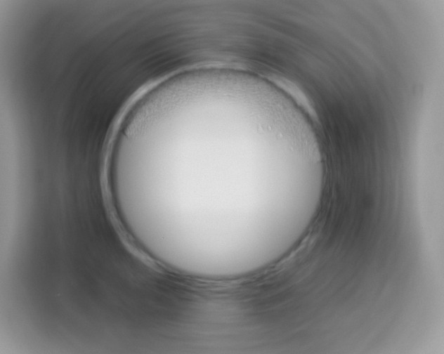 X0000113031136200910081215