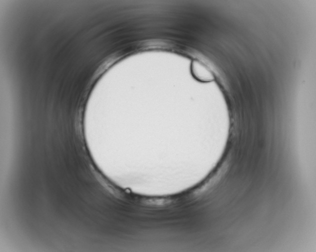 X0000113031137200910081215