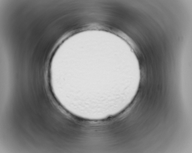 X0000113031142200910081215