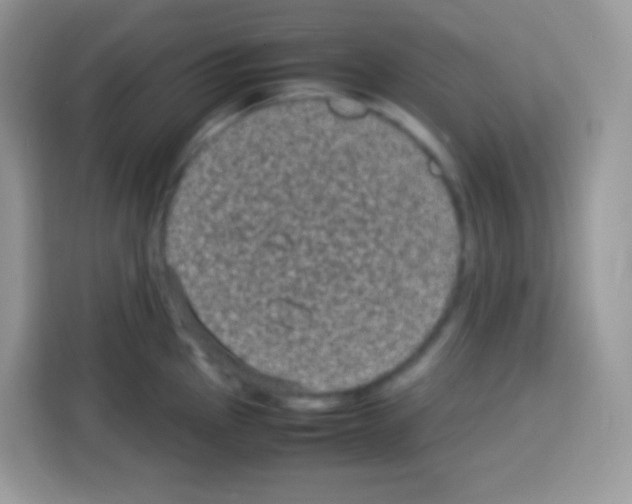 X0000113031145200910081215