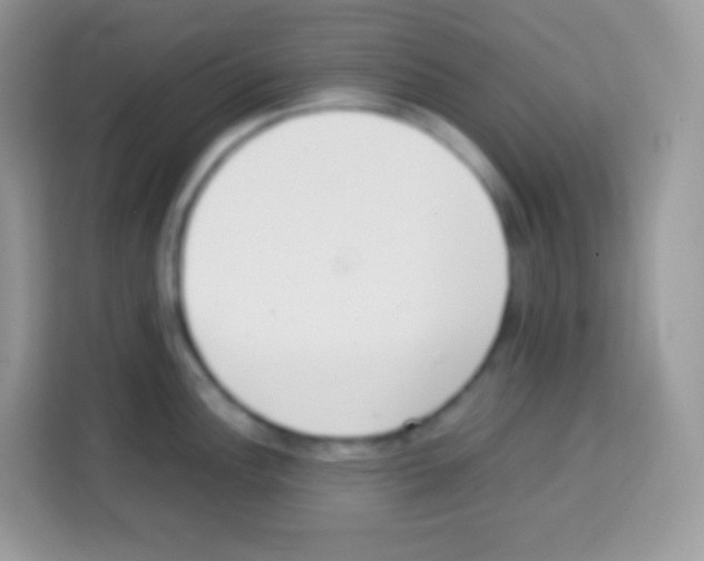 X0000113031148200910081215