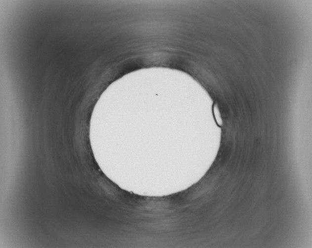 X0000113031153200910081214