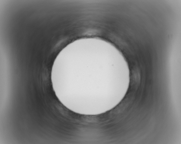 X0000113031158200910081214