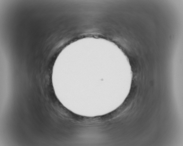 X0000113031159200910081214