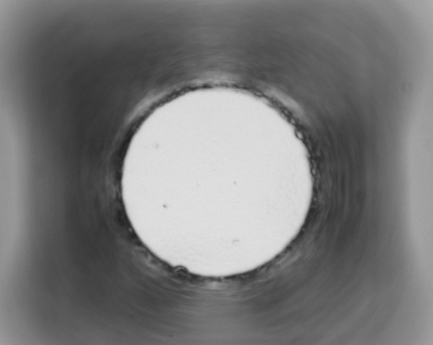 X0000113031160200910081214