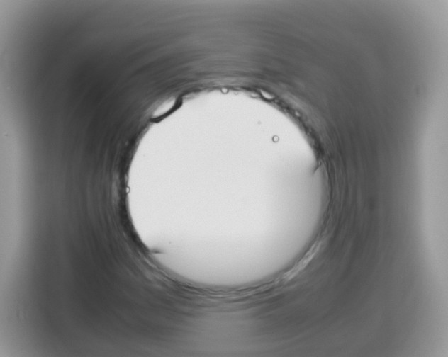 X0000113031161200910081214