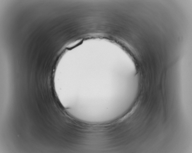 X0000113031162200910081214