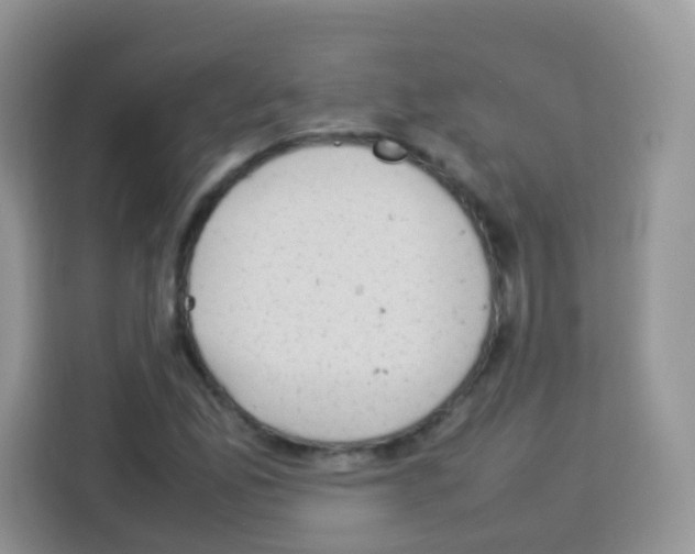 X0000113031165200910081214