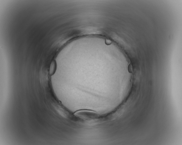 X0000113031169200910081214