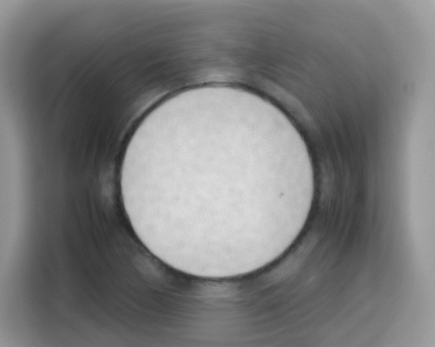 X0000113031170200910081214