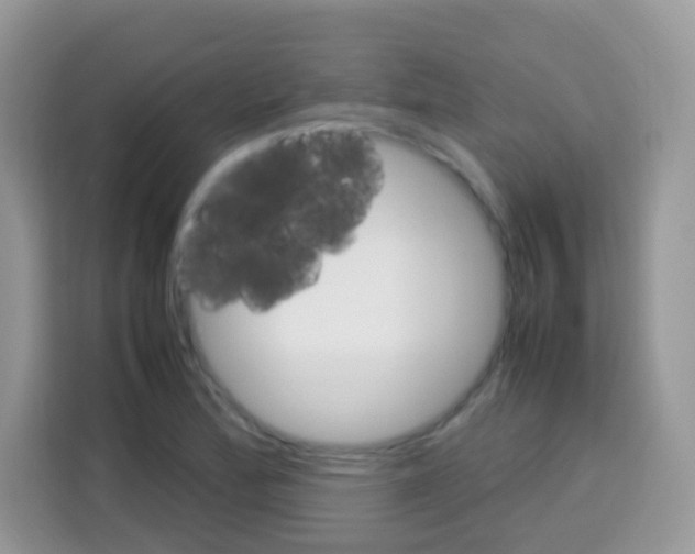 X0000113031172200910081214