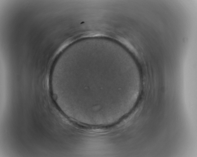 X0000113031173200910081214