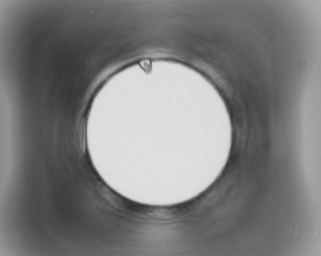 X0000113031175200910081214