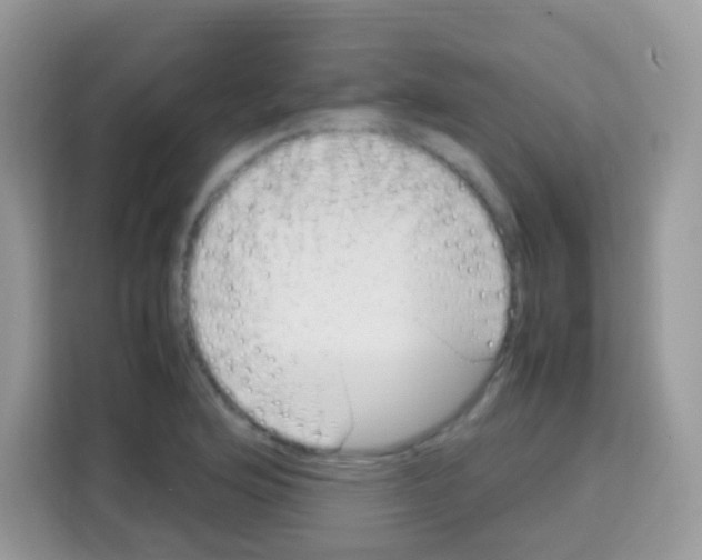 X0000113031176200910081214