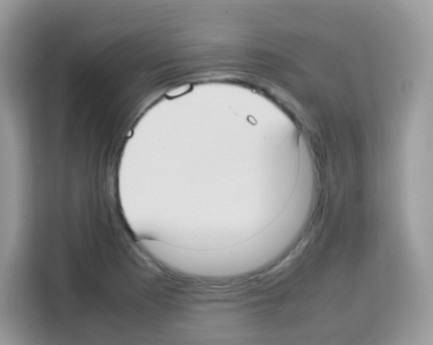 X0000113031177200910081214