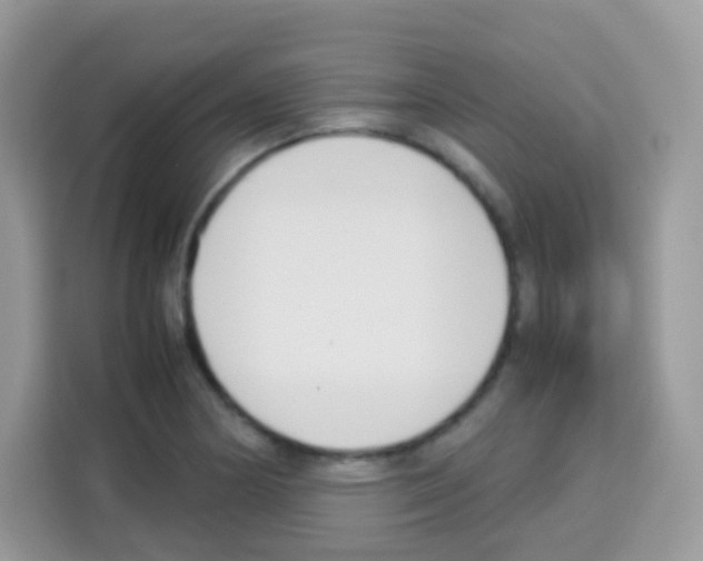 X0000113031178200910081214