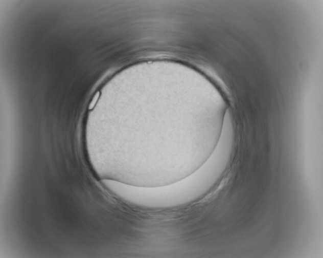 X0000113031181200910081214