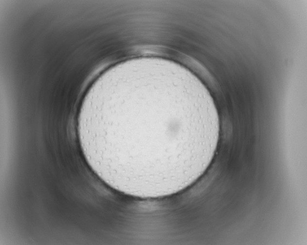 X0000113031182200910081214