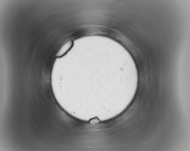 X0000113031185200910081214