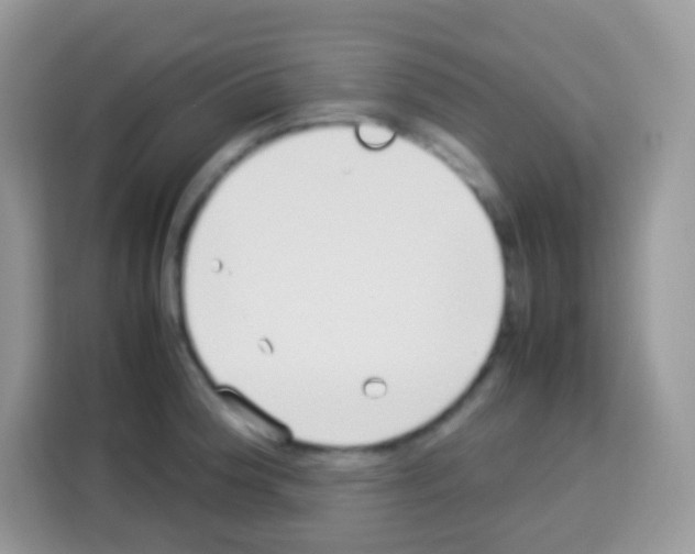 X0000113031188200910081214