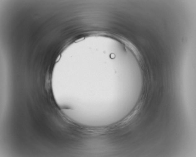 X0000113031193200910081214