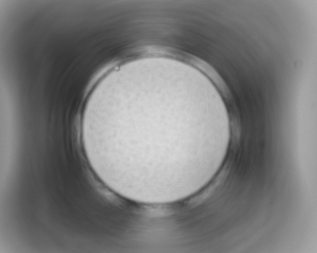 X0000113031198200910081214