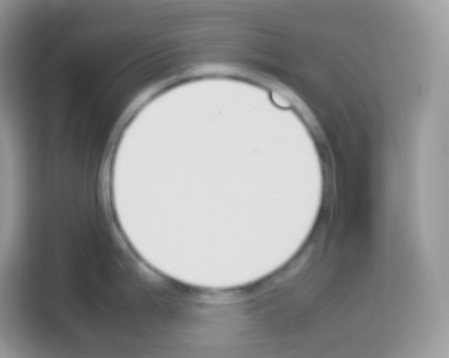 X0000113031199200910081214