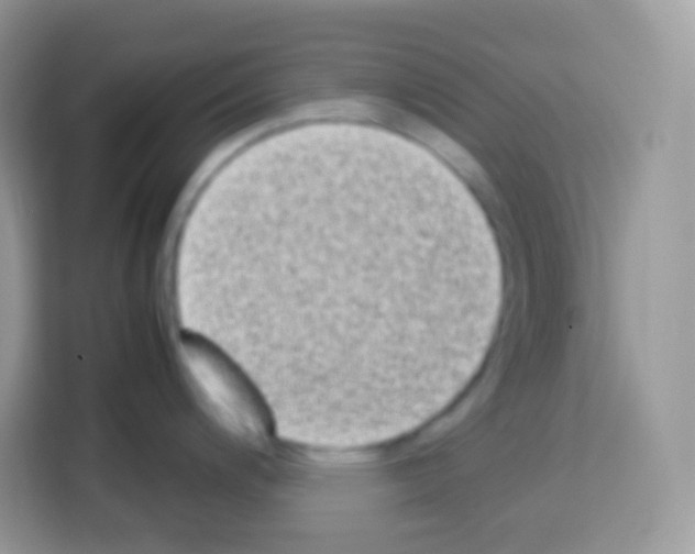 X0000113031200200910081214