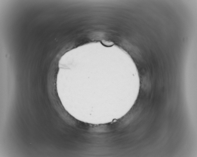 X0000113031201200910081213