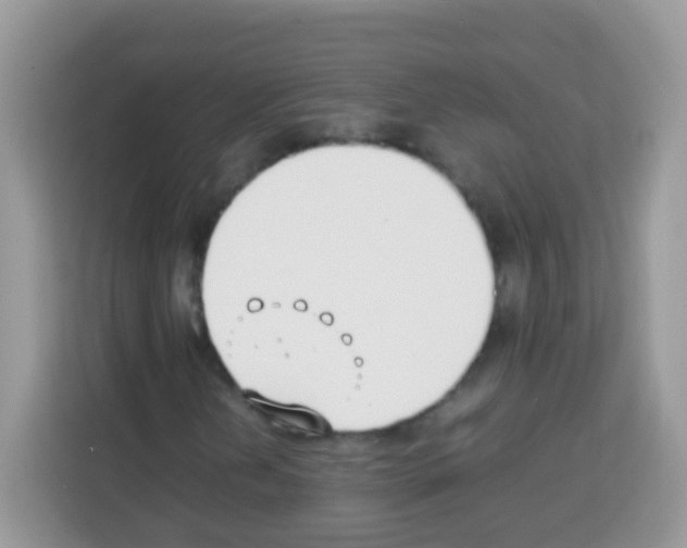 X0000113031202200910081213