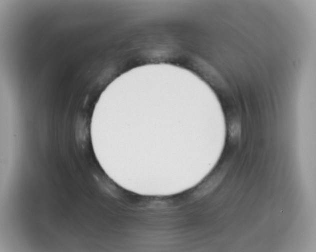 X0000113031204200910081213