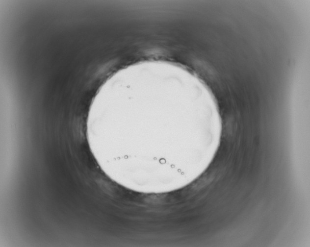 X0000113031205200910081213